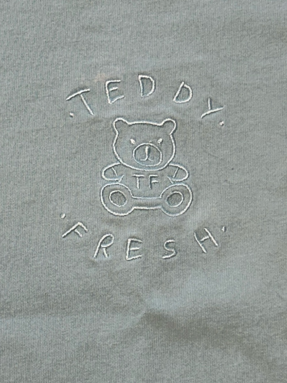 Teddy Fresh Colorblock Embroidered Boxy Crop Tee Women’s Size M Pastel skater - Picture 6 of 8